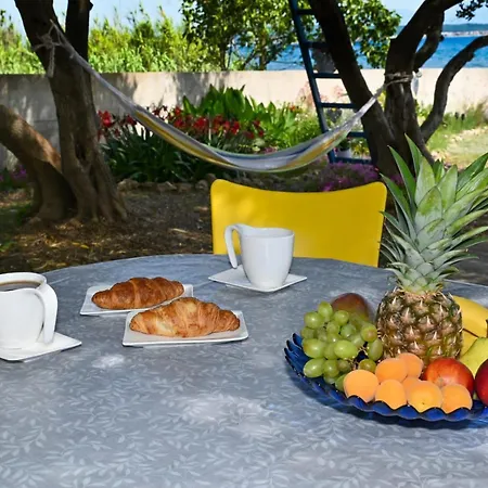 Tatil Evi House Ana Banj