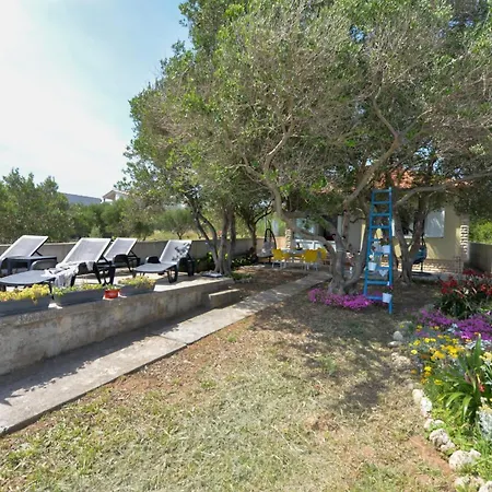 Tatil Evi House Ana *