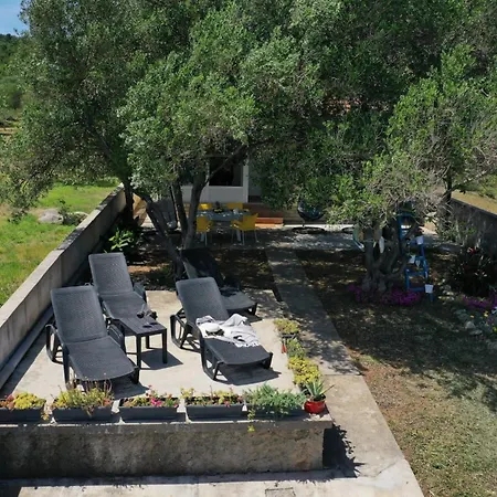 House Ana Tatil Evi *